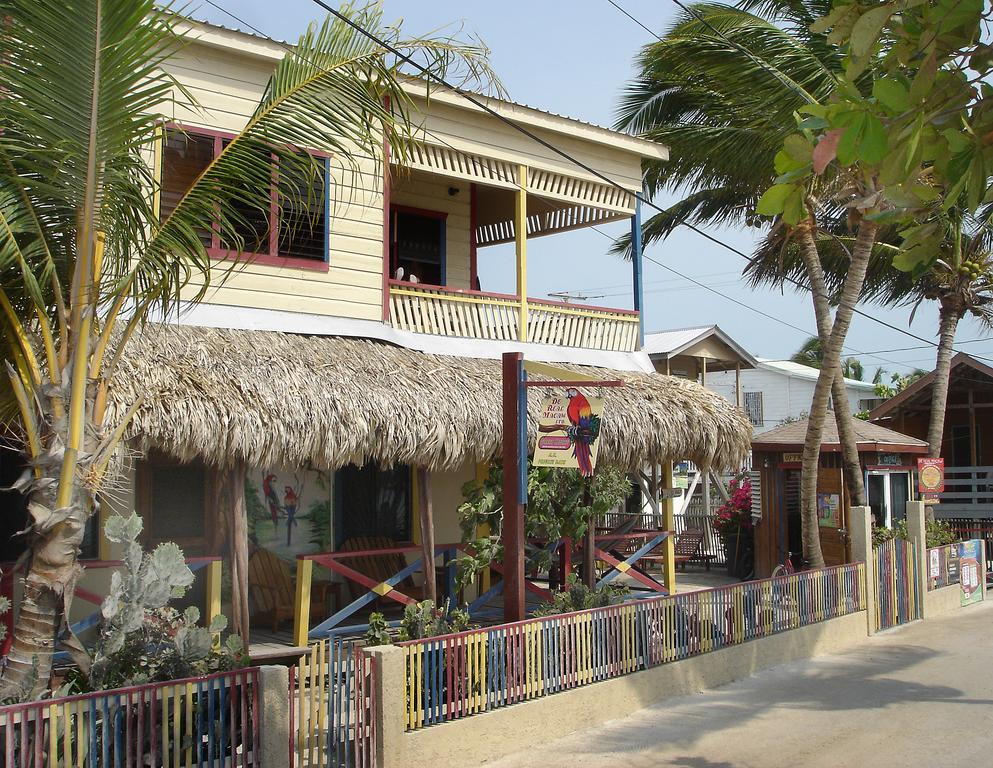 De Real Macaw Hotel Caye Corker Habitación foto